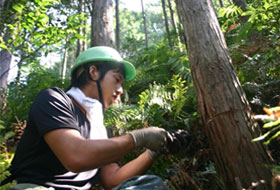 海山育林活動