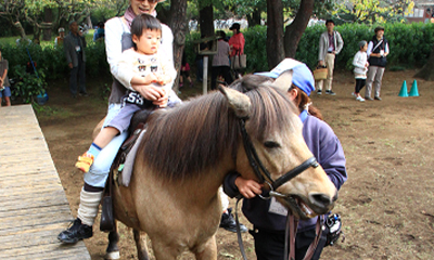 ポニーの乗馬