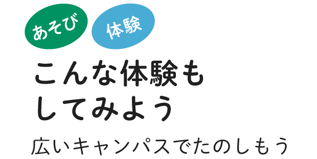 こんな体験もしてみよう