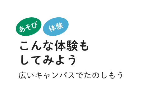 こんな体験もしてみよう