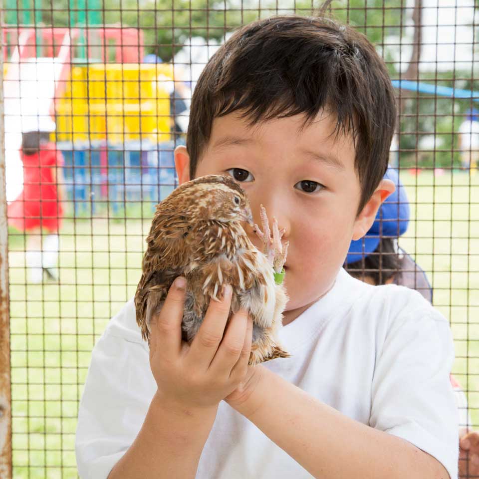 写真:ウズラを抱く子供